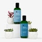 Colorsmith Protect Conditioner thumbnail